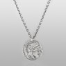 Oz Abstract Tokyo P1900 Athene and her pet owl coin silver necklace vertical view.