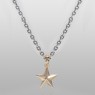 Gold star necklace.