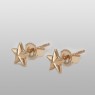 Small gold star pierces.