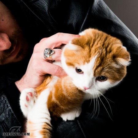 The Panther | Rings by Oz Abstract Tokyo | Online Boutique Oz