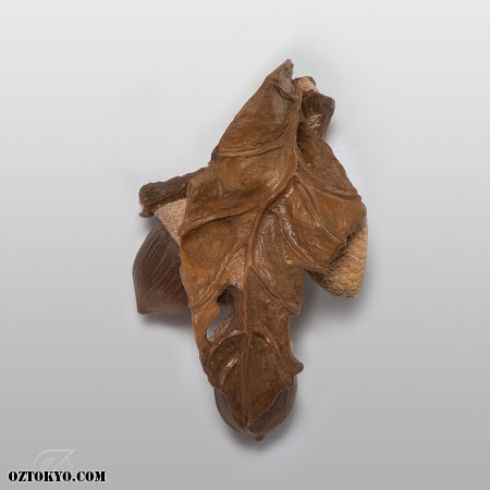 donguri | Other by Nakayama Hidetoshi | Online Boutique Oz