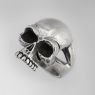 BigBlackMaria a032 Large Nova Skull up right view.