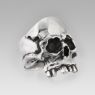 Nakayama Hidetoshi NHR007 OldMan Skull right view.