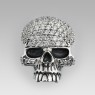 Anonymous R468 Crystal Skull front view.