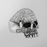 Anonymous R468 Crystal Skull right view.