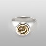 Silver and brass ring with the map of japan sai016 by SAITAL front view.
