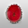 MFM red oval ring.