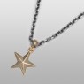 Gold star necklace.