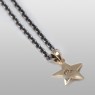 Gold star necklace.