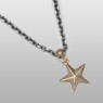 Gold star necklace.