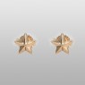 Small gold star pierces.