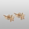 Small gold star pierces.