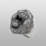 Lion ring by magische vissen.