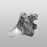 Lion ring by magische vissen.