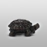 Nakayama Hidetoshi turtle wood netsuke.