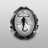 Strange Freak Designs scorpion ring.