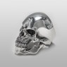 Massive skull ring by strange freak designs.