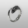 Skull ring by Strange freak designs.